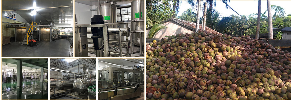 1617677135180950.jpg about.jpg